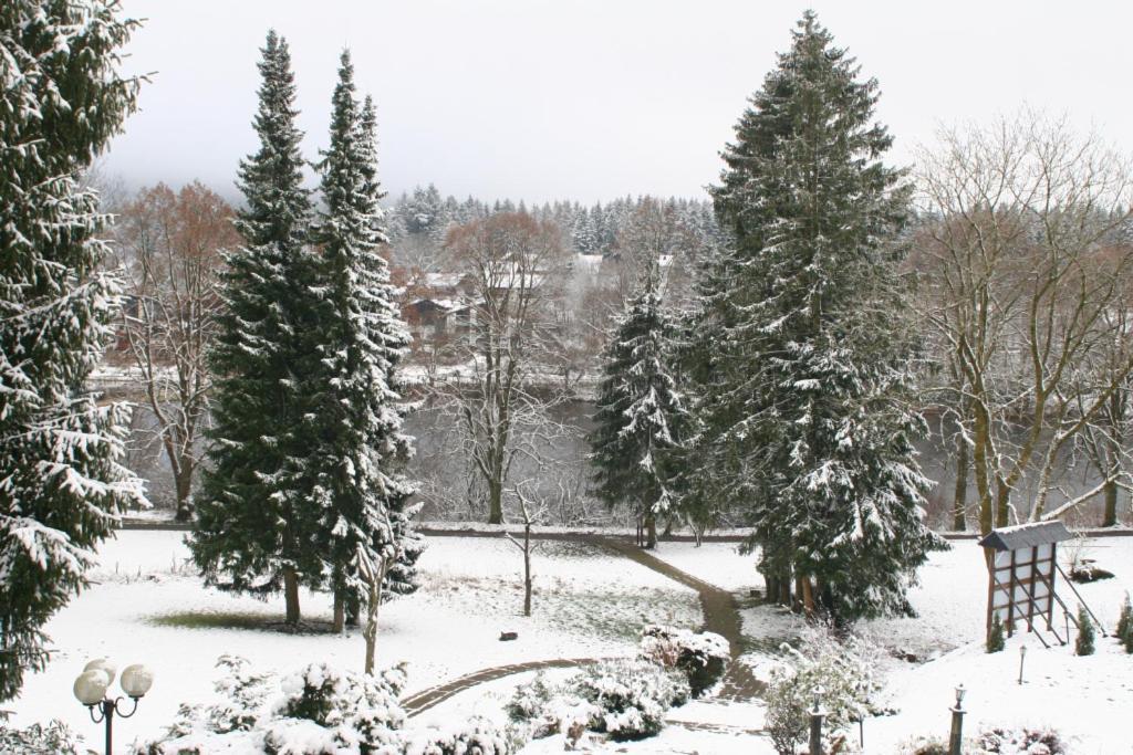 Dein Hotel - Goslar Hahnenklee Exteriör bild